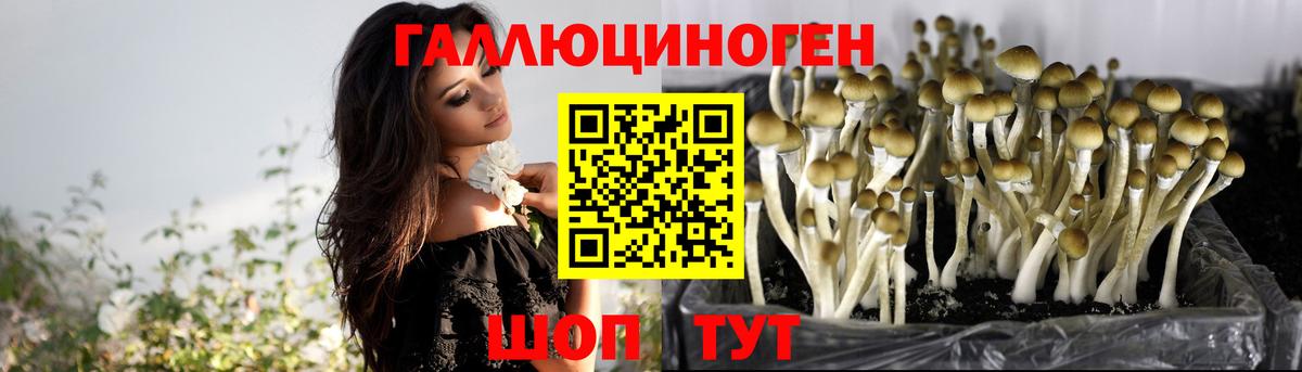 цены наркотик  Галлюциногенные грибы мухоморы  Вход с VPN  Малгобек 